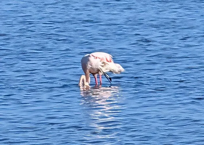 شقة Salt تورّيفيِخا